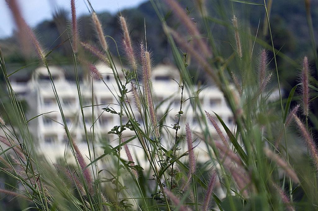 Eden Resort Karon エクステリア 写真
